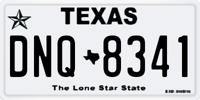 TX license plate DNQ8341