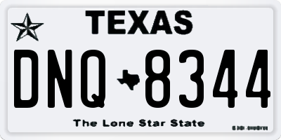 TX license plate DNQ8344
