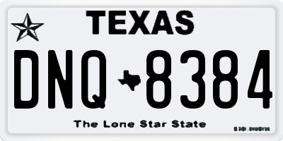 TX license plate DNQ8384
