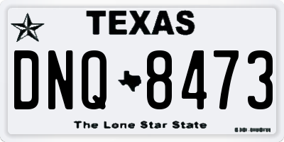 TX license plate DNQ8473