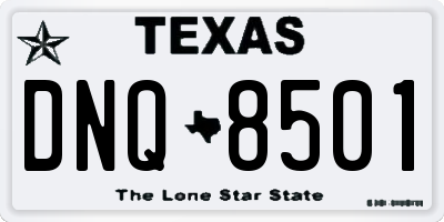 TX license plate DNQ8501