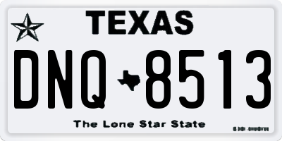 TX license plate DNQ8513