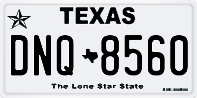 TX license plate DNQ8560