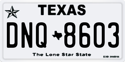 TX license plate DNQ8603