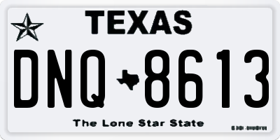 TX license plate DNQ8613
