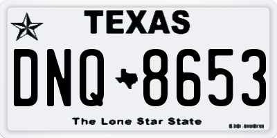 TX license plate DNQ8653