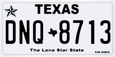 TX license plate DNQ8713