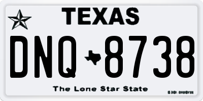 TX license plate DNQ8738