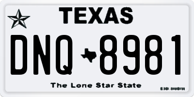 TX license plate DNQ8981