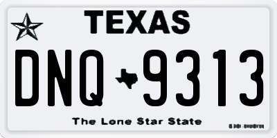 TX license plate DNQ9313