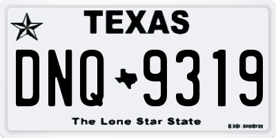 TX license plate DNQ9319