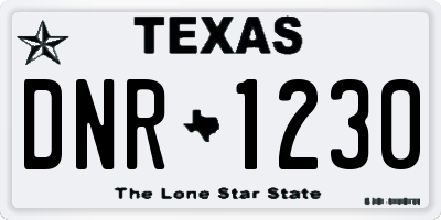 TX license plate DNR1230