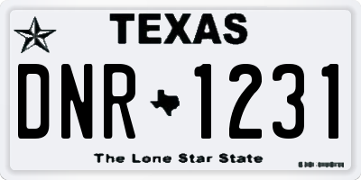 TX license plate DNR1231