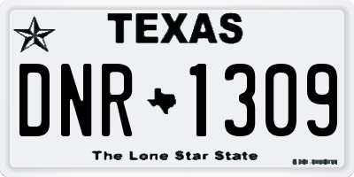 TX license plate DNR1309
