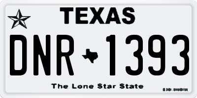 TX license plate DNR1393