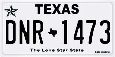 TX license plate DNR1473