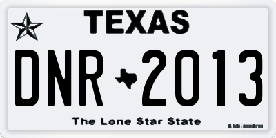 TX license plate DNR2013