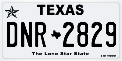 TX license plate DNR2829