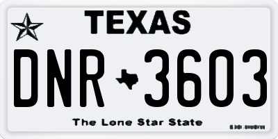 TX license plate DNR3603