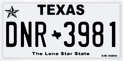 TX license plate DNR3981