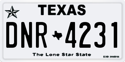 TX license plate DNR4231