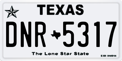 TX license plate DNR5317