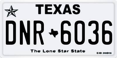 TX license plate DNR6036