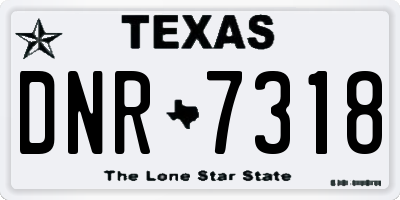 TX license plate DNR7318