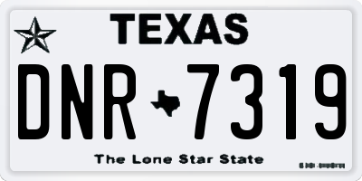 TX license plate DNR7319