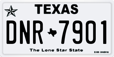 TX license plate DNR7901