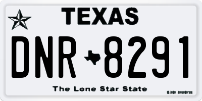 TX license plate DNR8291