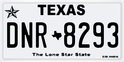 TX license plate DNR8293