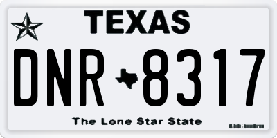 TX license plate DNR8317