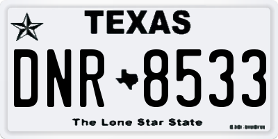 TX license plate DNR8533