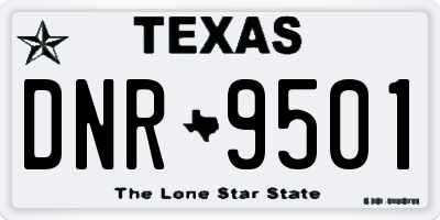 TX license plate DNR9501