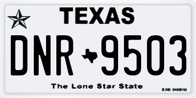 TX license plate DNR9503