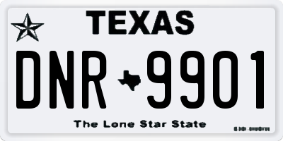 TX license plate DNR9901