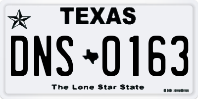 TX license plate DNS0163