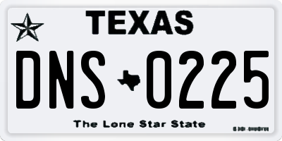 TX license plate DNS0225