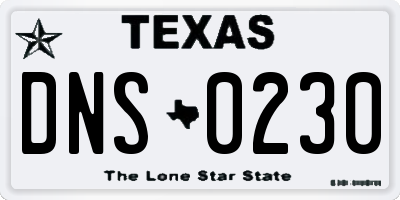 TX license plate DNS0230