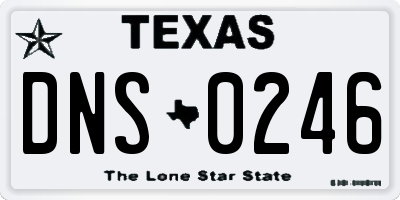 TX license plate DNS0246