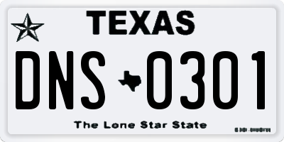 TX license plate DNS0301