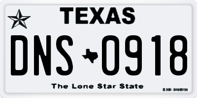 TX license plate DNS0918