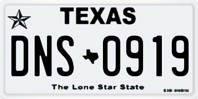 TX license plate DNS0919