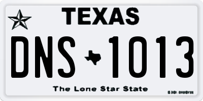 TX license plate DNS1013