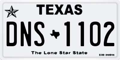 TX license plate DNS1102