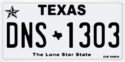 TX license plate DNS1303