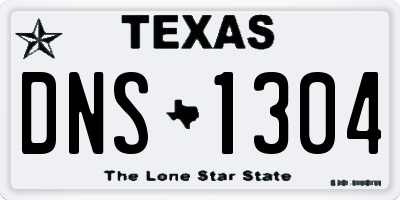 TX license plate DNS1304