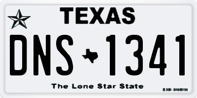 TX license plate DNS1341