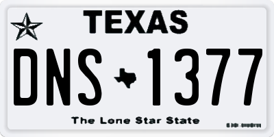 TX license plate DNS1377